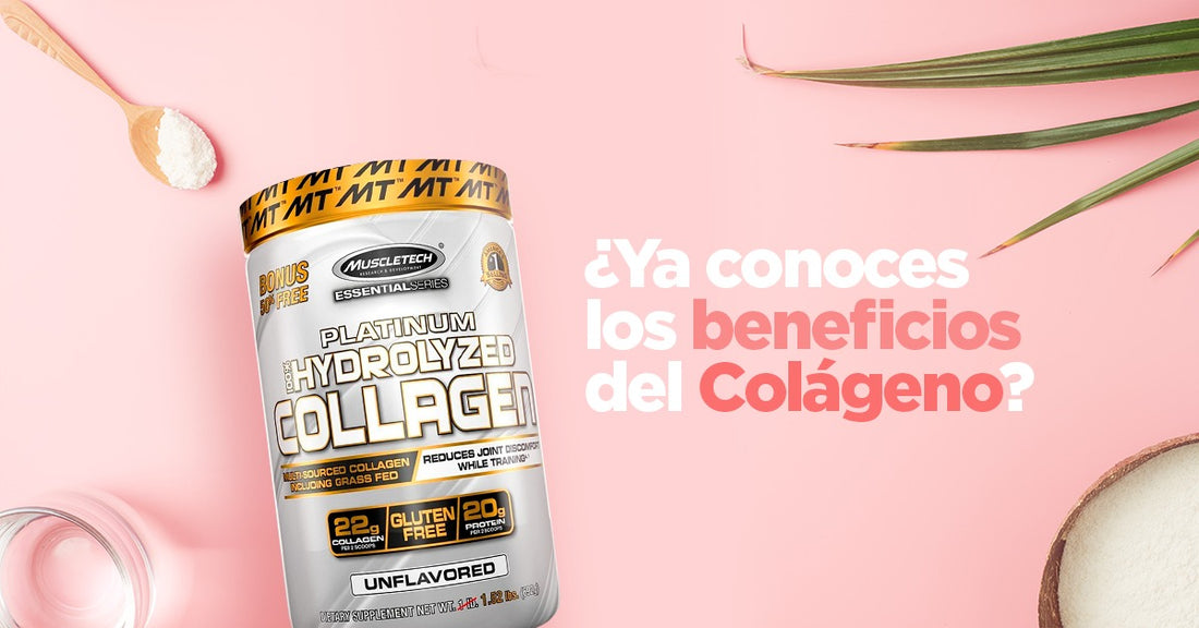 Todo lo que debes saber sobre el colágeno hidrolizado