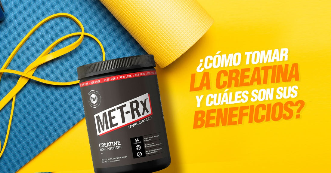 Cómo tomar la Creatina y cuáles son sus beneficios