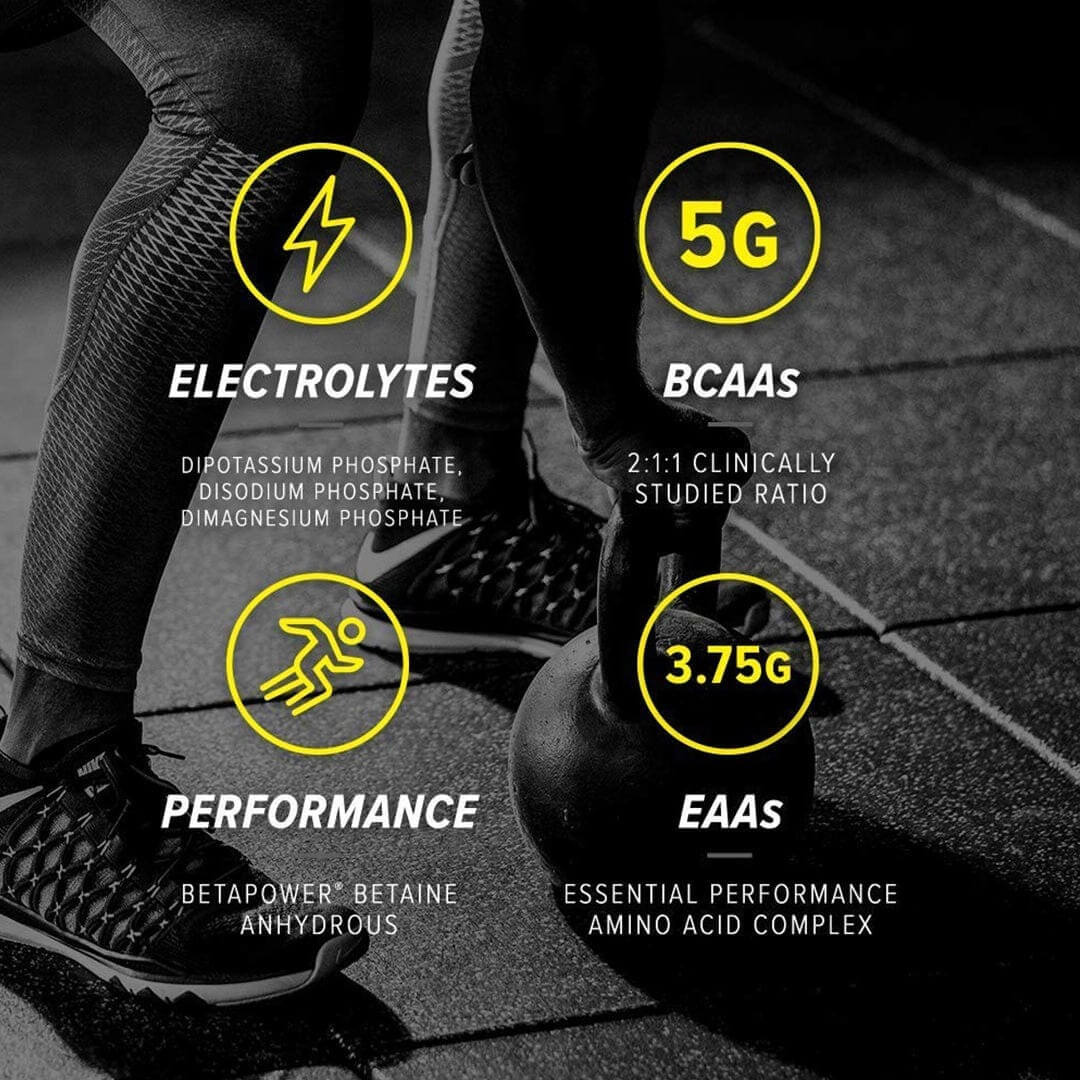 ALPHA AMINO ICY BLUE RASPBERRY 381 GR