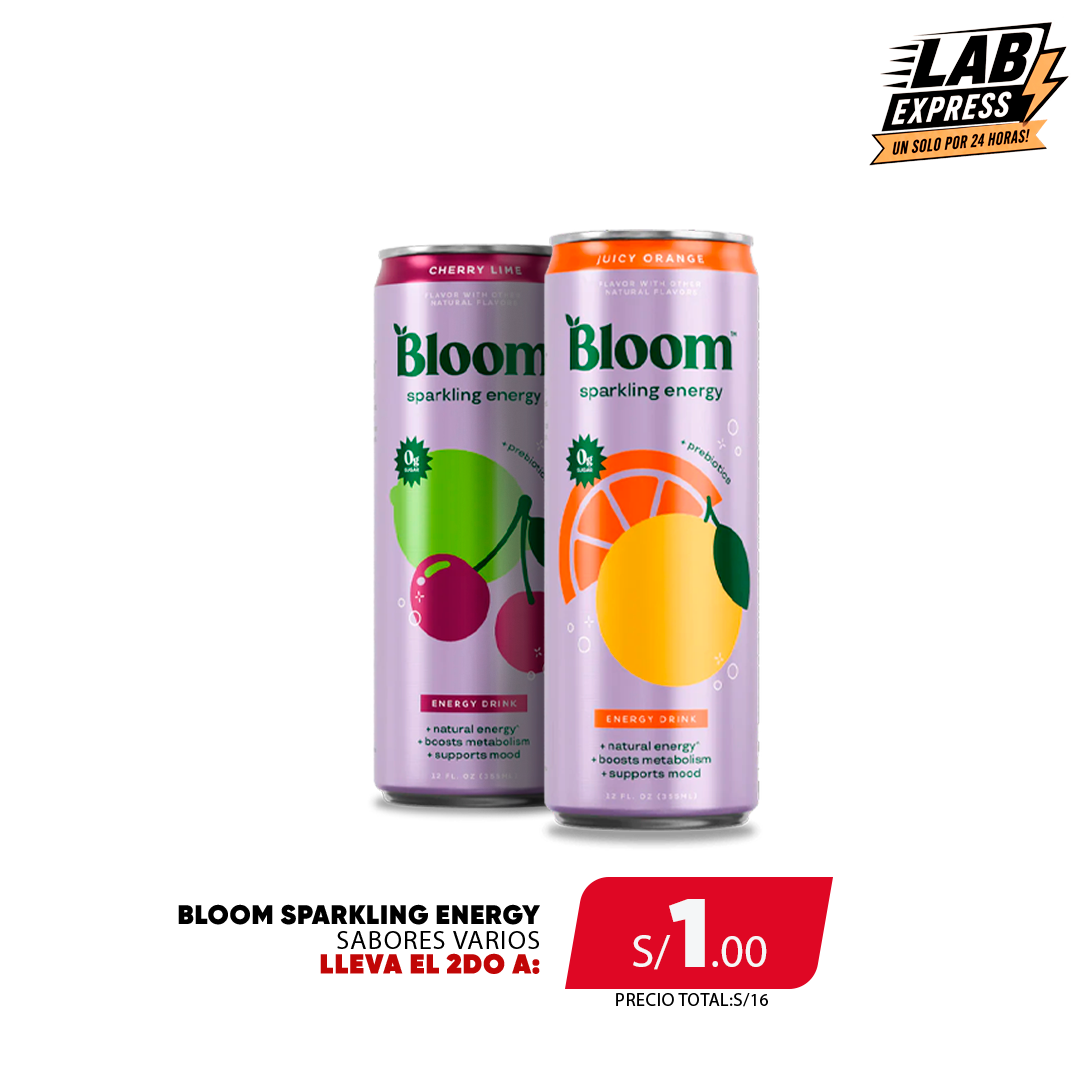 PACK 2 BLOOM ENERGY
