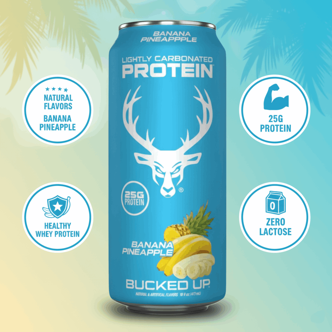 RTD PROTEIN 473ML
