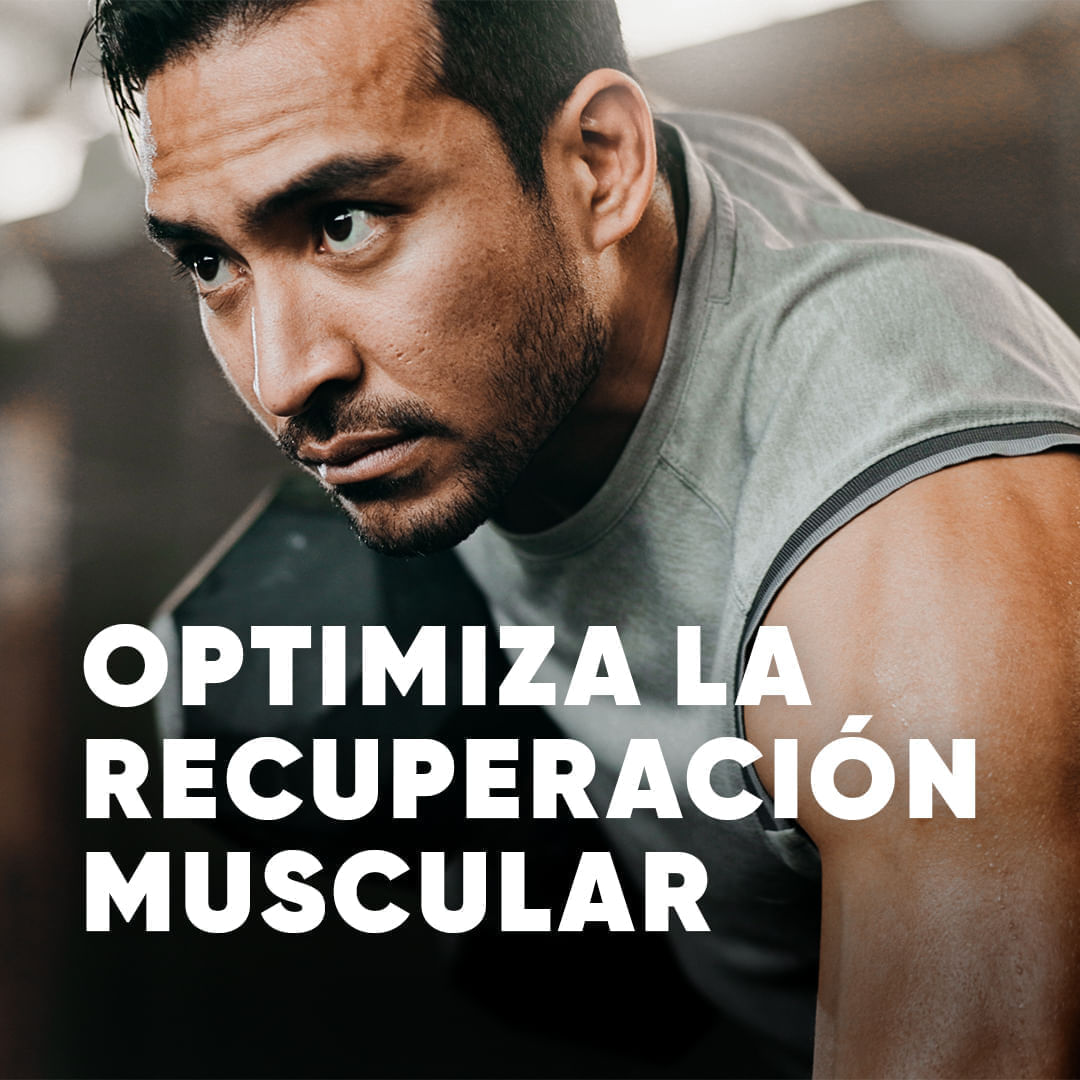 CREATINE MICRONIZED BLACK LIMITED EDITION 500G