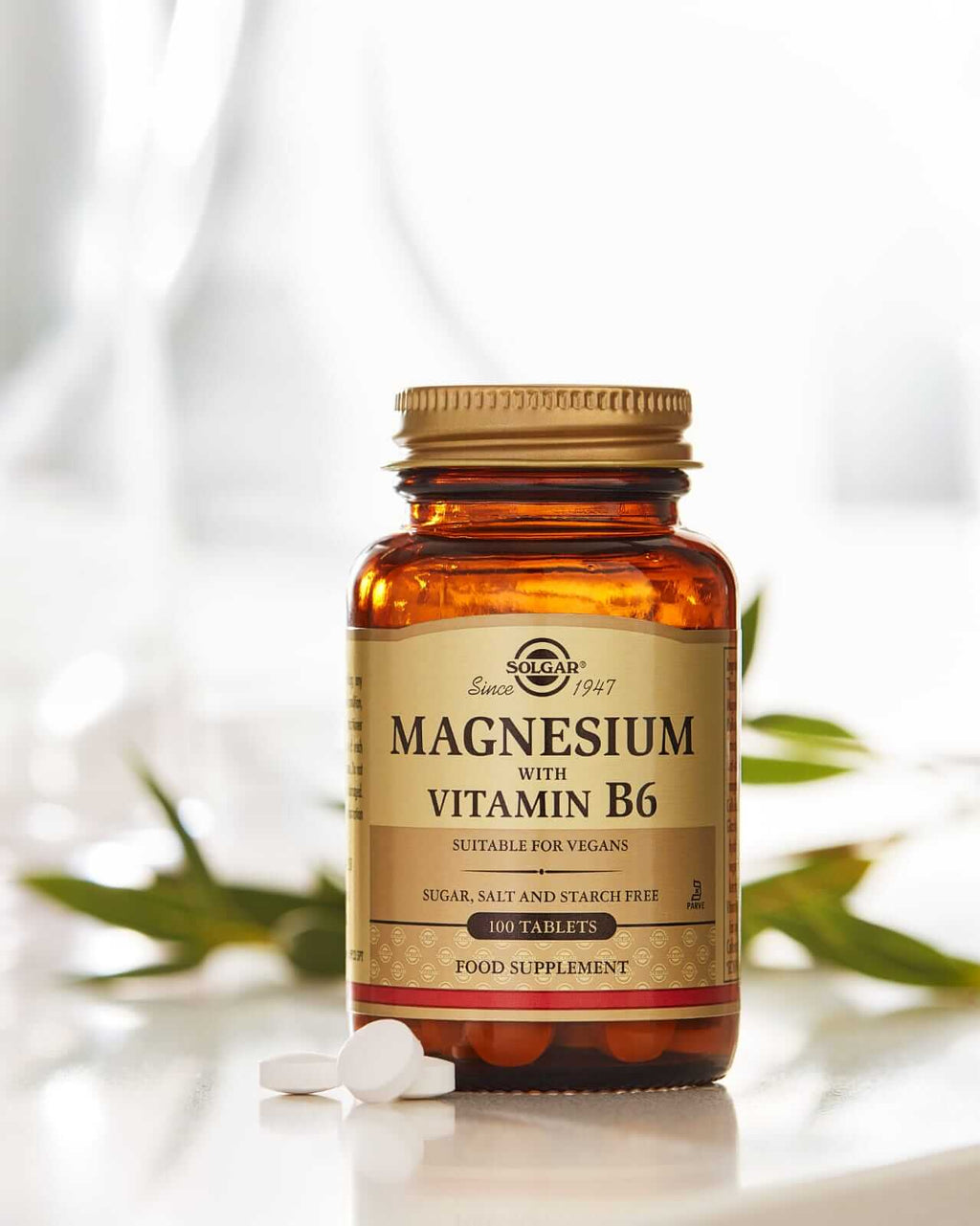 MAGNESIUM WITH VITAMIN B6 100TAB