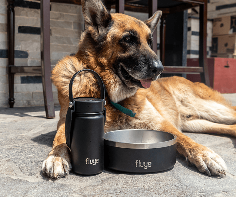 FLUYE PET BOWL 950ML CURITIBA
