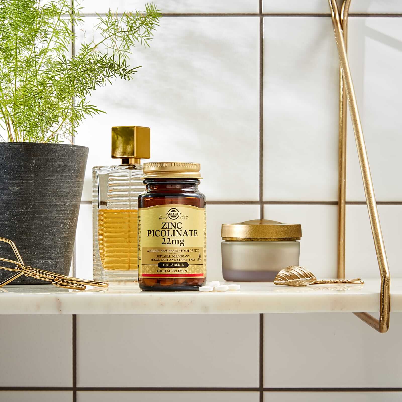 ZINC PICOLINATE 22MG 100 TAB