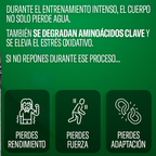 AMINO BUILD  40 SERV