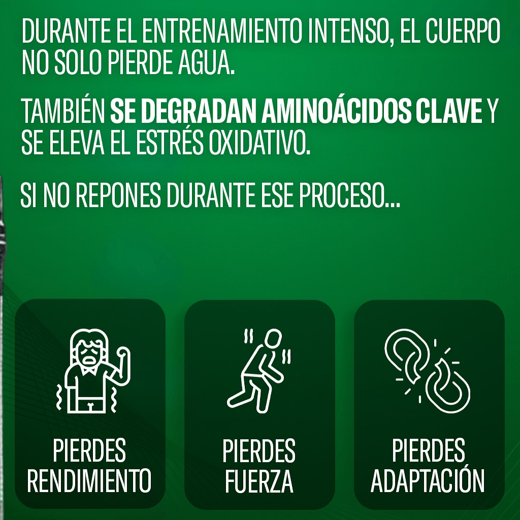 AMINO BUILD  40 SERV