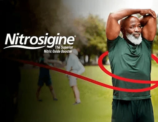 Certificado 3 - Nitrosigine